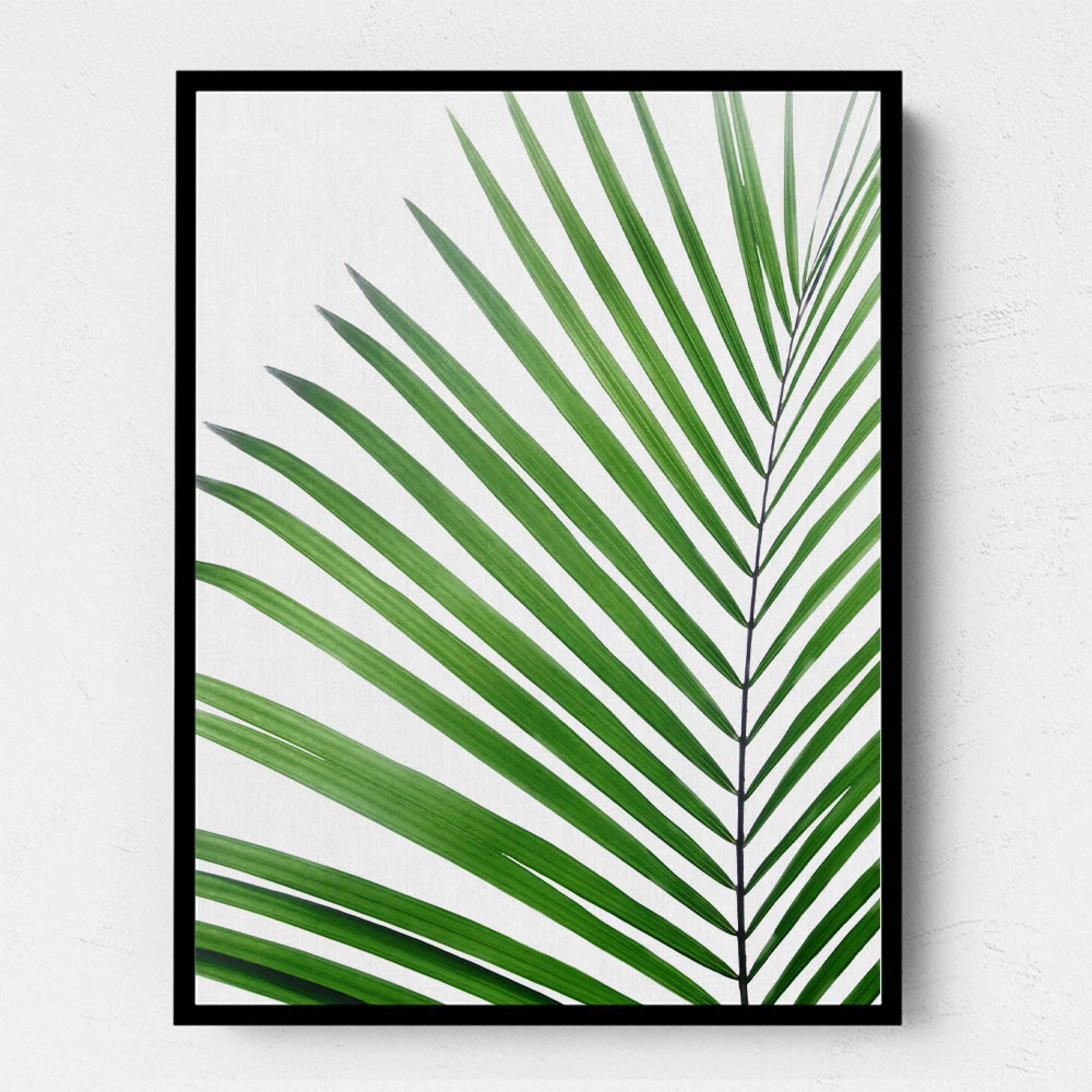 Green Palm Leaf Wall Art